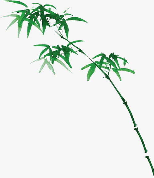 關(guān)于竹葉的詩句