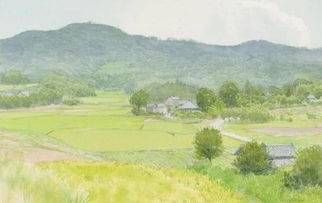 長江風箏的詩句古詩詞