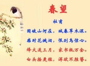 寫(xiě)幾句表達(dá)思鄉(xiāng)情感的古詩(shī)句