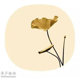 詩句,遺憾,友情