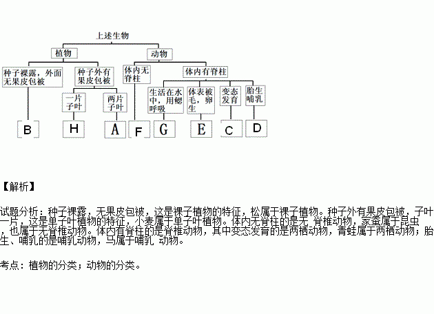 關(guān)于生理特征詩(shī)句