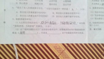 關(guān)于蘇軾旁觀者清的詩(shī)句是什么