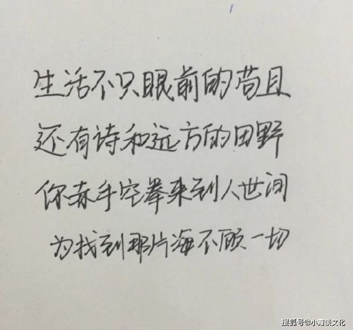 表示努力的詩句,表示努力向上的詩句,表示努力上進的詩句