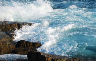 贊美大海古詩句