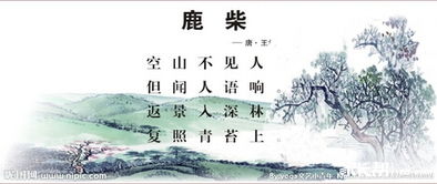 鹿柴古詩(shī)詩(shī)句意思,四年級(jí)古詩(shī)鹿柴詩(shī)句的意思,鹿柴詩(shī)句的意思解釋