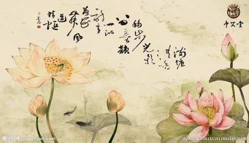 關(guān)于蓮花和魚的詩句