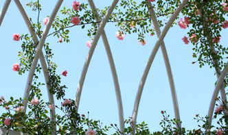 關(guān)于五月的唯美古詩(shī)句