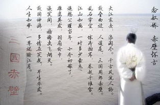 詩(shī)句,夏天,念奴嬌