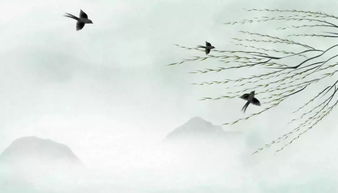 關(guān)于鳥的詩詞詩句