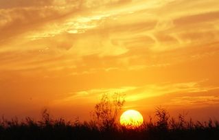 傍晚的詩句,傍晚火燒云的詩句,贊美傍晚的詩句