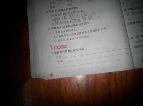 關于母親的諺語或詩句