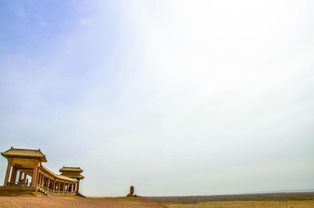 一首,綠樹(shù),詩(shī)句,黃土