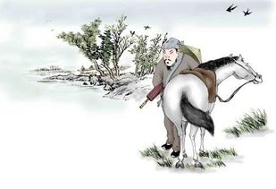 詩句,眼睛,保護