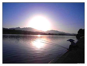 關(guān)于月明夜晚詩句