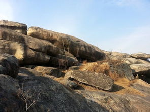 關(guān)于懷遠荊山的詩句