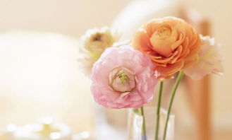 表達(dá)被家人孤立的古詩(shī)句