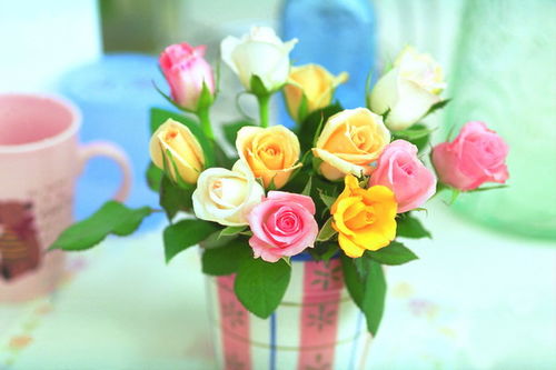 關(guān)于圣誕玫瑰花的詩(shī)句