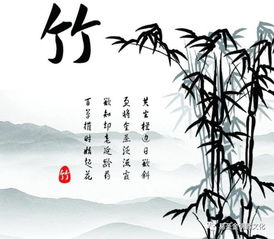 有竹字的詩(shī)句古詩(shī)詞