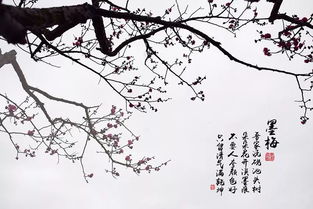 詩句,古代,墨梅