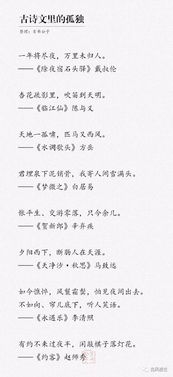 關(guān)于孤寂的文詩句