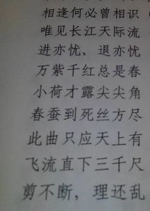 詩句,成語,旋律,于悅