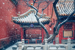 關(guān)于諷刺故宮開車詩(shī)句