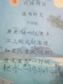 關(guān)于夜晚寫作的詩(shī)句