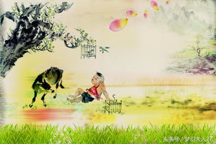 關(guān)于牧童的古詩句子