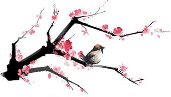 贊美夏的詩句古詩