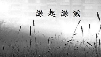 關于緣分盡了的詩句