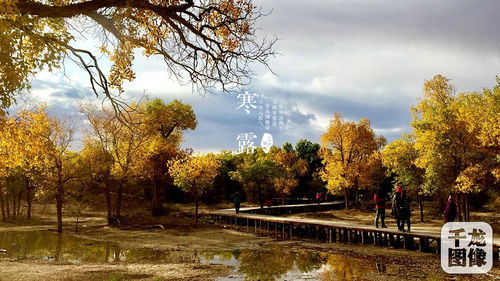 送別秋色的詩句古詩