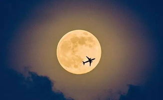 月亮,詩句,家鄉(xiāng),思念