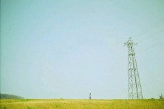 古詩(shī)中贊美奉獻(xiàn)的詩(shī)句