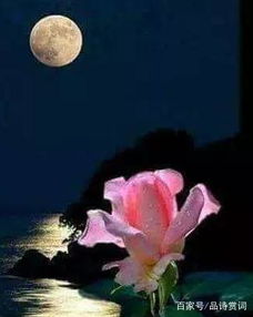 是用動(dòng)靜結(jié)合的古詩句