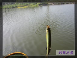 關(guān)于辛苦但幸福的詩句