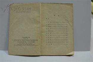 關(guān)于風(fēng)箏的兒歌詩句