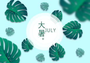 關(guān)于大暑的諺語(yǔ)和詩(shī)句