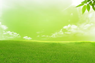 古詩,詩句,描寫,春天