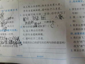 關(guān)于科學(xué)的古詩(shī)句帶意思