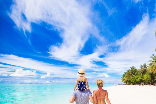 夏天夜景的古詩(shī)句