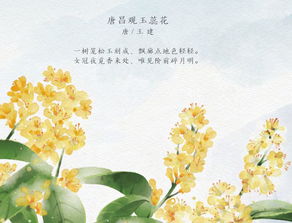 關(guān)于節(jié)氣的詩(shī)句兩句