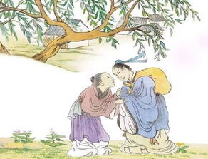 詩(shī)句,孤立,家人,表達(dá)