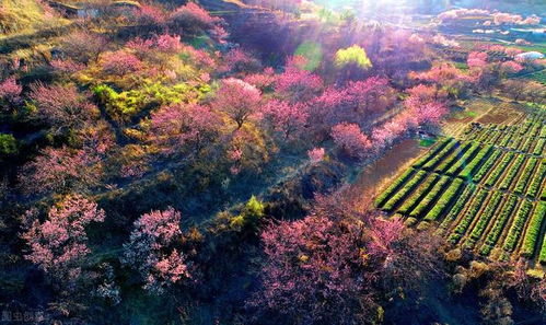 關(guān)于洞府的詩句