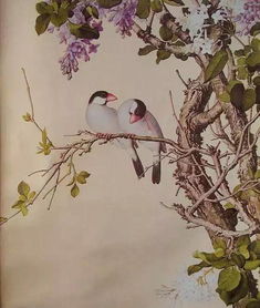 春天花開的古詩,描寫春天花開的古詩,春天花開詩句古詩