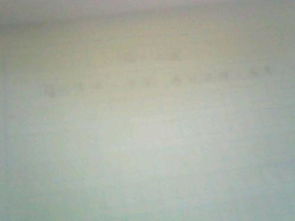 以詩(shī)句開頭的除夕之夜作文