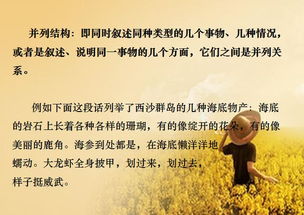 作文,開頭,奮斗,成功