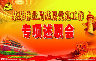 抓黨建專(zhuān)項(xiàng)述職報(bào)告,黨建述職報(bào)告范文(抓黨建專(zhuān)項(xiàng)述職報(bào)告范文)