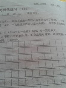 有關(guān)我生活中一朵花的作文開頭