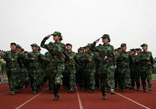 軍人軍訓(xùn)個人自我鑒定(軍人自我鑒定)