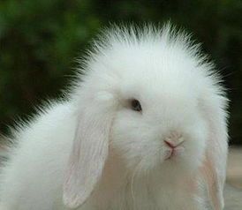 關(guān)于最難忘的一個(gè)人作文開(kāi)頭結(jié)尾怎么寫(xiě)